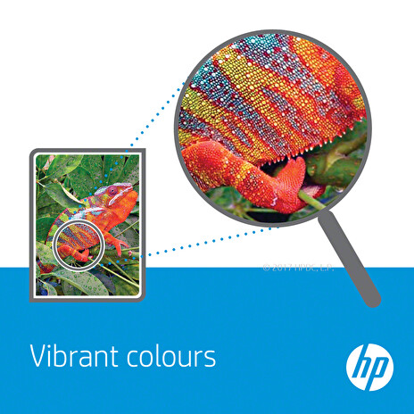 HP 62 Tri-color Original Ink Cartridge (165 pages)
