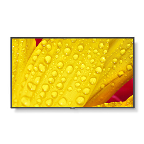 65" LED NEC ME651,3840x2160,IPS,18/7,400cd