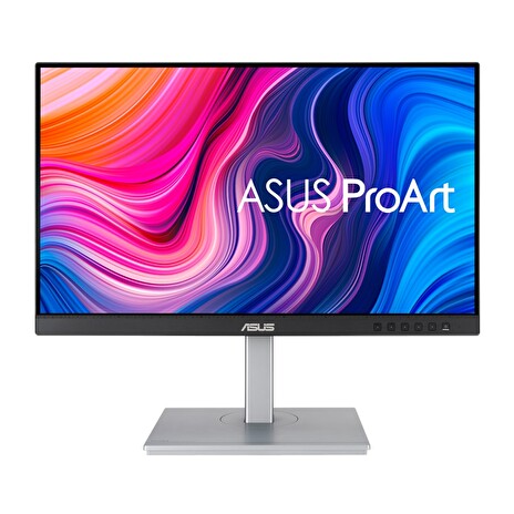 24" LCD ASUS PA247CV