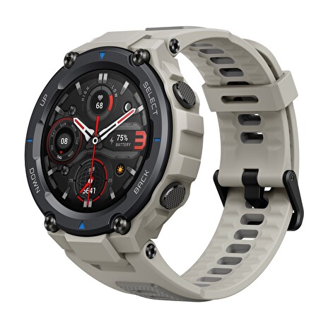 Amazfit T-Rex Pro Desert Grey