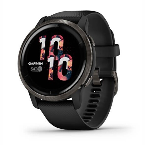 Garmin Venu2 Slate/Black Band