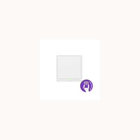 Tesla Smart Switch