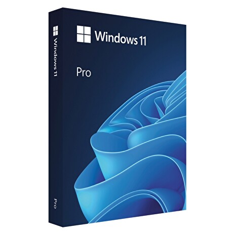 Win Pro FPP 11 64-bit Czech USB