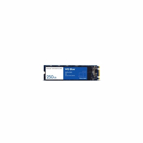 WD BLUE SSD 3D NAND WDS100T3B0B 1TB SA510 M.2, (R:560, W:520MB/s)