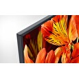 Sony 55" 4K HDR Professional BRAVIA, 24/7, 620 cd/m2, landscape / portrait, Android 7, X1 processor, IP control, RS232C