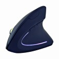 Gembird Ergonomic wireless optical mouse MUSW-ERGO-01, 3200 DPI, USB, black