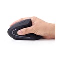Gembird Ergonomic wireless optical mouse MUSW-ERGO-01, 3200 DPI, USB, black