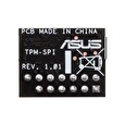 ASUS TPM-SPI