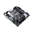 ASUS MB Sc LGA 1200 PRIME Z490M-PLUS, Intel Z490, 4xDDR4, VGA, mATX
