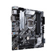 ASUS MB Sc LGA 1200 PRIME Z490M-PLUS, Intel Z490, 4xDDR4, VGA, mATX