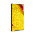 65" LED NEC ME651,3840x2160,IPS,18/7,400cd