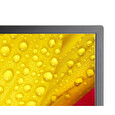 65" LED NEC ME651,3840x2160,IPS,18/7,400cd