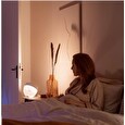 Philips COL Iris Stolní svítidlo Hue White and color ambiance, white/clear