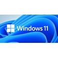 MS Win 11 Home 64-Bit Eng 1pk OEM DVD