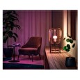 Philips Hue White and Color Ambiance 6.5W 800 E27 3ks