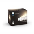 Philips Hue White 9.5W 1100 E27 starter kit