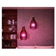 Philips Hue White and Color Ambiance 9W 1100 E27 starter kit