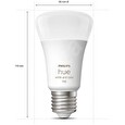 Philips Hue White and Color Ambiance 9W 1100 E27 starter kit