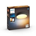 Philips Hue Enrave S černá