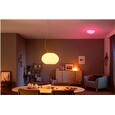 Philips Flourish Závěsné svítidlo, Hue White and color ambiance, 230V, 1x39.5W integr.LED, Bílá