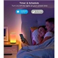 Govee Aura SMART RGBIC Stolní lampa