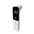 Tesla Smart Thermometer