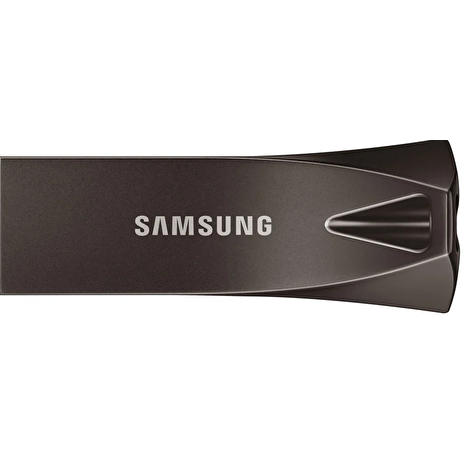 Samsung USB 3.1 Flash Disk Titan Gray 256 GB